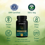 أمبروزيال - بربرين 500 ملغ