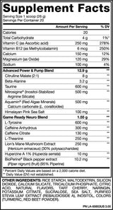 PVL Domin8 Pre-Workout Super Fuel | 520 g - 40 Servings